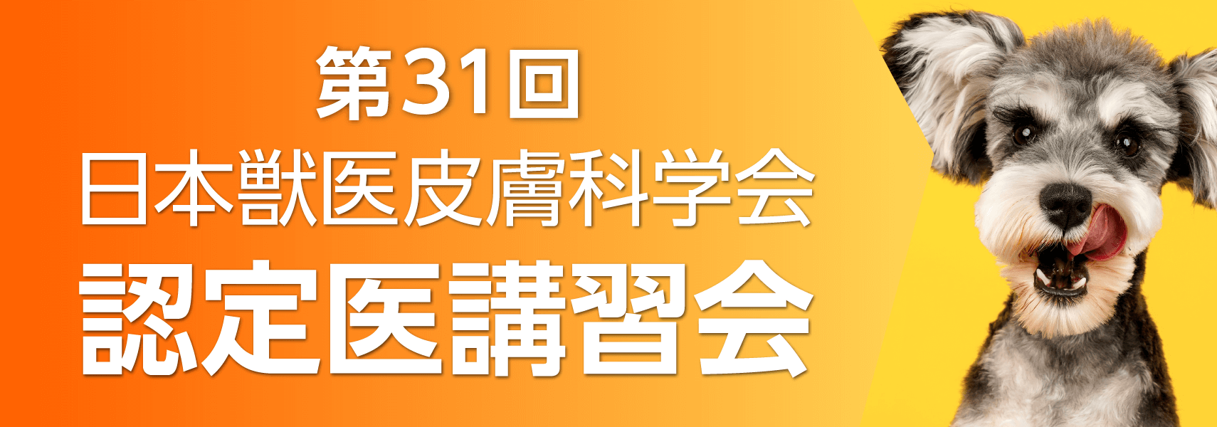 第31回日本獣医皮膚科学会認定医講習会