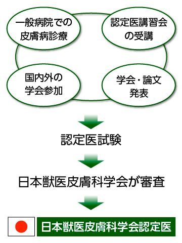 日本獣医皮膚科学会・認定医についての図